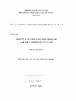 Nghiên cứu chế tạo một số dạng vật liệu composit từ tính