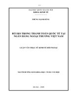 Rủi ro trong thanh toán quốc tế tại ngân hàng ngoại thương Việt Nam
