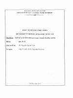 Thiết kế vector biểu hiện gen trong vi khuẩn Bacillus subtilis