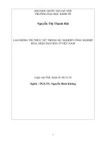 Lao động trí thức nữ trong sự nghiệp công nghiệp hóa, hiện đại hóa ở Việt Nam