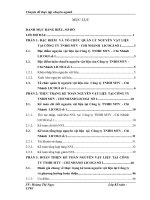 Hoàn thiện kế toán nguyên vật liệu tại Công ty TNHH MTV - CHI NHÁNH LICOGI SỐ 1