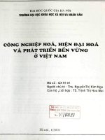 Công nghiệp hoá, hiện đại hoá và phát triển bền vững ở Việt Nam