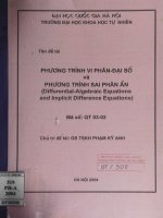 Phương trình vi phân - đại số và phương trình sai phân ẩn = Differential-Algebraic Equations and Implivit Difference Equations