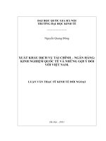Xuất khẩu dịch vụ tài chính ngân hàng (Kinh nghiệm quốc tế và những gợi ý đối với Việt Nam)TT