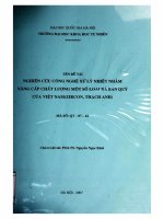 Nghiên cứu công nghệ xử lý nhiệt nhằm nâng cấp chất lượng một số loại đá bán quý của Việt Nam (Zircon, thạch anh