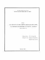 Các yếu tố cấu trúc khống chế quặng hóa thiếc và VOLFRAM nội sinh khu vực Đại Từ - Tam Đảo.PDF