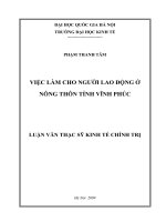 Việc làm cho người lao động ở nông thôn tỉnh Vĩnh Phúc