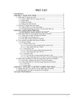 THIẾT KẾ VÀ MÔ PHỎNG MẠNG BOSON NETSIM