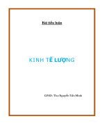 Bài tiểu luận chủ đề Kinh tế lượng