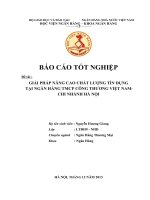 GIẢI PHÁP NÂNG CAO CHẤT LƯỢNG TÍN DỤNG TẠI NGÂN HÀNG TMCP CÔNG THƯƠNG VIỆT NAM- CHI NHÁNH HÀ NỘI