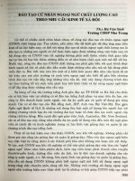 Đào tạo cử nhân ngoại ngữ chất lượng cao theo nhu cầu kinh tế xã hội