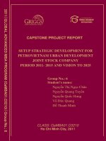Setup strategic development for petro VietNam urban development joint stock company period 2011- 2015 and vision to 2025