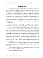 Kế toán tập hợp chi sản xuất và tính giá thành sản phẩm tại công ty cổ phần đầu tư phát triển an việt