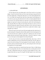 Giải pháp thúc đẩy hoạt động tiêu thụ hàng hóa ở Công ty cổ phần thương mại và xây dựng Khải Anh