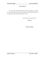 Giải pháp phòng ngừa và Hạn chế rủi ro tín dụng tại Ngân Hàng Công Thương Việt Nam – chi nhánh Tô Hiệu hải Phòng