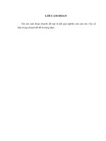 Giải pháp tài chính nhằm nâng cao năng lực cạnh tranh của các doanh nghiệp vừa và nhỏ ở Việt Nam