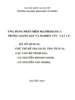 Ứng dụng phần mềm Mathematica trong giảng dạy và nghiên cứu vật lý