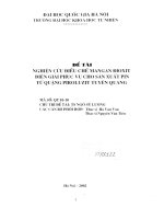 Nghiên cứu điều chế Mangan Đioxit điện giải phục vụ cho sản xuất pin từ quặng piroluzit Tuyên Quang