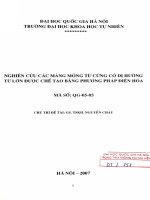 Nghiên cứu các màng mỏng từ cứng có dị hướng từ lớn được chế tạo bằng phương pháp điện hóa