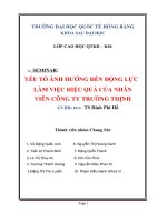 YẾU TỐ ẢNH HƯỞNG ĐẾN ĐỘNG LỰC LÀM VIỆC HIỆU QUẢ CỦA NHÂN VIÊN CÔNG TY TRƯỜNG THỊNH