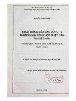 Hoạt động của các công ty thương mại tổng hợp Nhật bản tại Việt nam