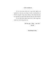 Một số hạn chế trong thu hút và sử dụng đầu tư trực tiếp nước ngoài ở Việt Nam hiện nay