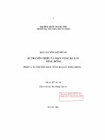 sự truyền triều và mặn vùng hạ lưu sông Hồng