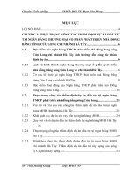 Hoàn thiện công tác thẩm định dự án đầu tư tại ngân hàng thương mại cổ phần Phát triển nhà Đồng bằng sông Cửu Long-chi nhánh Hà Tây