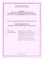 Báo cáo tổng hợp kết quả thực hiện năm 2009 Thực thi mô hình dự báo và ứng phó sự cố tràn dầu