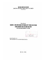 Nghiên cứu biến động sử dụng đất trong giai đoạn công nghiệp hoá và hiện đại hoá (lấy ví dụ huyện Thanh Trì, Hà Nội
