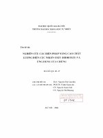 Nghiên cứu các biện pháp nâng cao chất lượng điện cực Niken oxit (hiđroxit) và ứng dụng của chúng