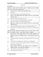 Giải pháp nhằm nâng cao hiệu quả huy động vốn tại Ngân hàng thương mại cổ phần Việt Nam Thịnh Vượng– Chi nhánh Tỉnh Nam Định