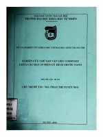Nghiên cứu chế tạo vật liệu compozit chứa các hạt áp điện có kích thước nano