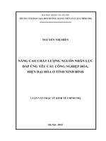 Nâng cao chất lượng nguồn nhân lực đáp ứng yêu cầu công nghiệp hóa, hiện đại hóa ở tỉnh Ninh Bình tóm tắt