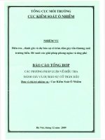 Các phương pháp luận về điều tra đánh giá và dự báo sự cố tràn dầu