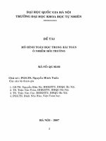 Mô hình toán học trong bài toán ô nhiễm môi trường