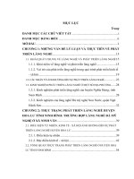 Phát triển làng nghề ở huyện Hoa Lư tỉnh Ninh Bình (Trường hợp làng nghề đá mỹ nghệ ở xã Ninh Vân)