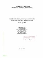 Nghiên cứu xử lý Amoni trong nước ngầm bằng công nghệ điện thẩm tách (EDR