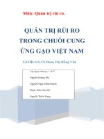 QUẢN TRỊ RỦI RO TRONG CHUỖI CUNG ỨNG GẠO VIỆT NAM
