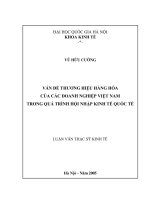 Vấn đề thương hiệu hàng hoá của các doanh nghiệp Việt Nam trong quá trình hội nhập kinh tế quốc tế