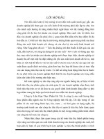 Kế toán bán hàng công ty liên hợp thực phẩm hà nội