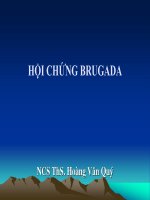 HỘI CHỨNG BRUGADA