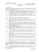 Kế toán bán hàng và xác định kết quả tiêu thụ tại công ty Cổ phần xuất nhập khẩu và xây dựng An Nam