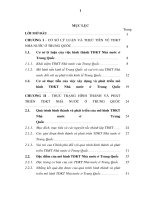 Mô hình tập đoàn kinh tế nhà nước ở Trung Quốc và bài học kinh nghiệm đối với Việt Nam