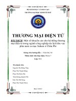 Một số khuyến cáo cho hệ thống thương mại điện tử trong ngành công nghiệp du lịch khu vực phía nam sa mạc Sahara ở Châu Phi