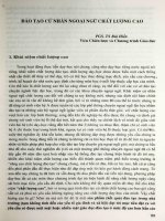 Đào tạo cử nhân ngoại ngữ chất lượng cao