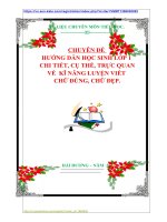 CHUYÊN ĐỀ: HƯỚNG DẪN HỌC SINH LỚP 1  CHI TIẾT, CỤ THỂ, TRỰC QUAN  VỀ  KĨ NĂNG LUYỆN VIẾT  CHỮ ĐÚNG, CHỮ ĐẸP.