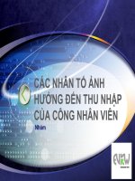 CÁC NHÂN TỐ ẢNH HƯỞNG ĐẾN THU NHẬP CỦA CÔNG NHÂN VIÊN