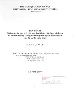 Nghiên cứu vai trò của các loại thực vật thủy sinh và vi khuẩn trong hệ thống đất ngập nước nhân tạo để xử lý nước thải