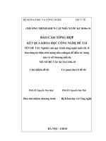 Báo cáo khoa học : Nghiên cứu quy trình công nghệ nuôi cấy tế bào sừng tự thân (Keratinocyte) trên màng nền Collagen, để điều trị bỏng sâu và vết thương mất da